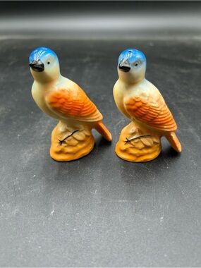 Hand-Painted song birds Orange & Blue Ceramic Bird salt and pepper shakers